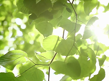 20170830当代—光合城市理想3