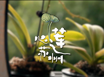 20170112莲子红豆沙