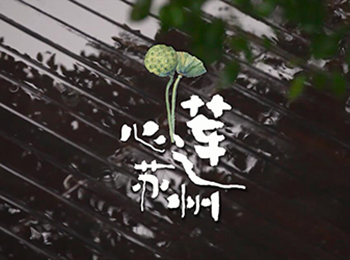 20170111莲子排骨汤